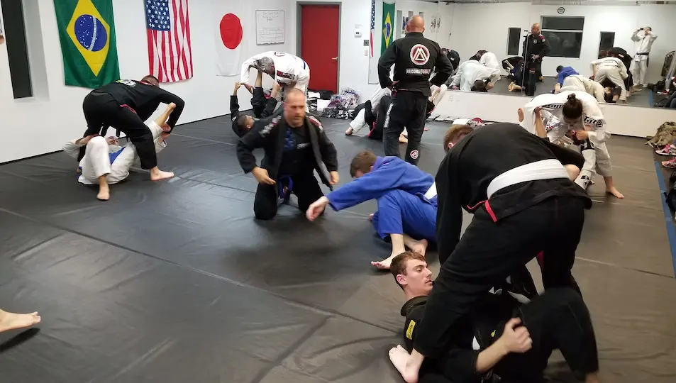 Adult Brazilian Jiu Jitsu training seminar
